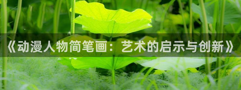 动漫天堂动画片：《动漫人物简笔画：艺术的启示与创新》配图