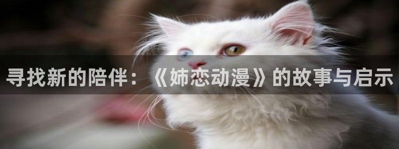 动漫天堂古风动漫:寻找新的陪伴:《姉恋动漫》的故事与启示配图