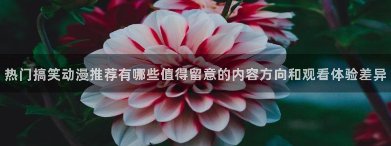 动漫天堂动漫全集:热门搞笑动漫推荐有哪些值得留意的内容方向和观看体验差异配图