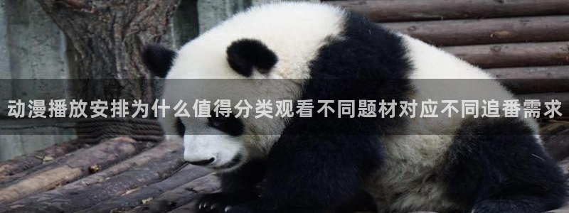 动漫天堂手机动漫免费观看：动漫播放安排为什么值得分类观看不同题材对应不同追番需求配图
