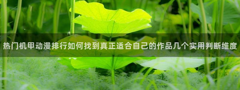 动漫天堂动漫排行榜前十:热门机甲动漫排行如何找到真正适合自己的作品几个实用判断维度配图