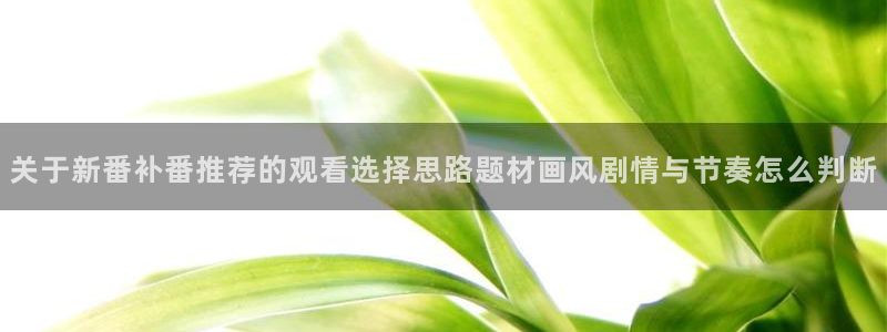 动漫天堂日漫排行:关于新番补番推荐的观看选择思路题材画风剧情与节奏怎么判断配图