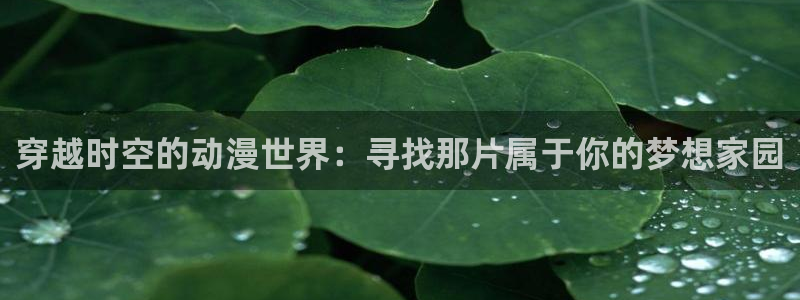 动漫天堂手机动漫：穿越时空的动漫世界：寻找那片属于你的梦想家园配图