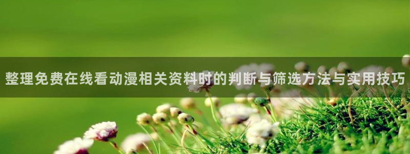 2026动漫天堂动漫排行:整理免费在线看动漫相关资料时的判断与筛选方法与实用技巧配图