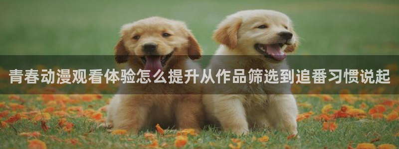 动漫天堂动漫在线观看：青春动漫观看体验怎么提升从作品筛选到追番习惯说起配图