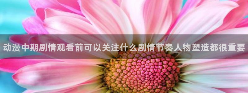 动漫天堂2026：动漫中期剧情观看前可以关注什么剧情节奏人物塑造都很重要配图