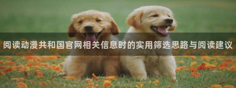 动漫天堂动漫网:阅读动漫共和国官网相关信息时的实用筛选思路与阅读建议配图