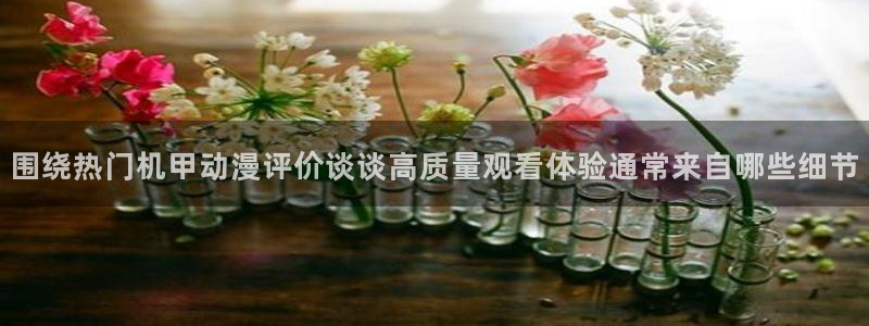 动漫天堂在线哪里看：围绕热门机甲动漫评价谈谈高质量观看体验通常来自哪些细节配图
