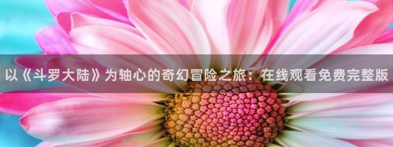 动漫天堂哪里看:以《斗罗大陆》为轴心的奇幻冒险之旅:在线观看免费完整版配图