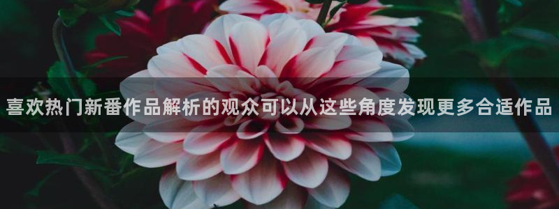 动漫天堂连载排行:喜欢热门新番作品解析的观众可以从这些角度发现更多合适作品配图