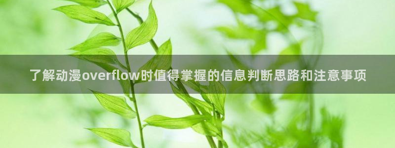 动漫天堂哪里看:了解动漫overflow时值得掌握的信息判断思路和注意事项配图
